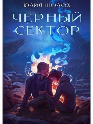 Чёрный сектор. Книга 1 фото книги