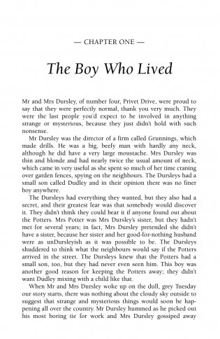 Harry Potter 1 and the Philosopher's Stone фото книги 2