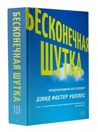 Бесконечная шутка фото книги