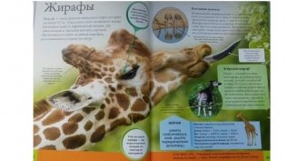 Животные фото книги 7