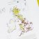 Plant Atlas 2020 фото книги маленькое 7