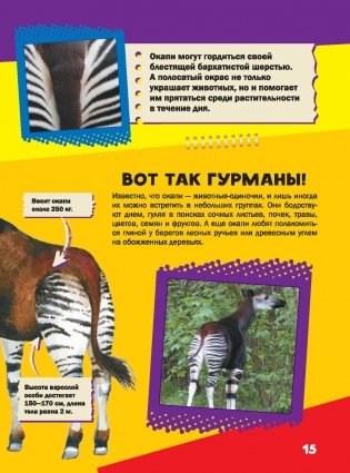 Моя первая большая книга о животных фото книги 3