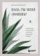 Папа, ты меня любишь? Как фигура отца влияет на жизнь взрослой дочери фото книги маленькое 2