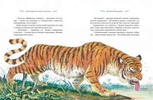 Самые красивые сказки о животных фото книги 5