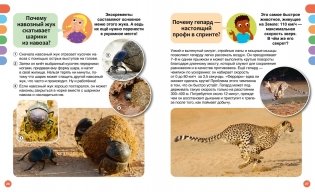 Почему? Вопросы и ответы обо всём на свете фото книги 7