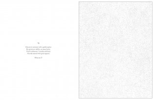 Mystery Coloring Flowers фото книги 4