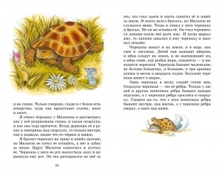 Рассказы и сказки фото книги 8