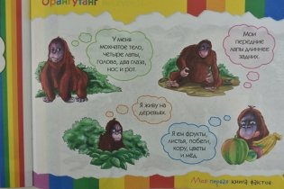 Моя первая книга фактов. Обезьяны и мартышки фото книги 5