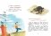 Жизнь Ивана Семёнова, второклассника и второгодника фото книги маленькое 9