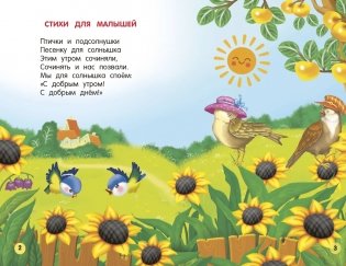 Стихи и загадки для малышей фото книги 3