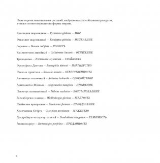 Флоросфера. Умиротворение фото книги 2