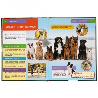 Питомцы. Энциклопедия с развивающими заданиями фото книги 4