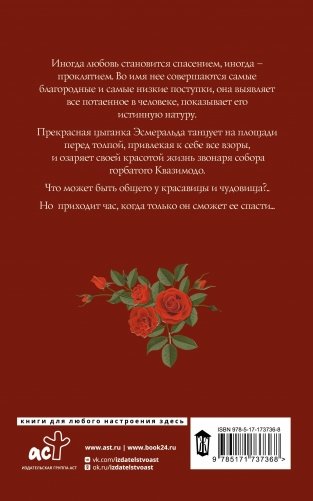 Собор Парижской Богоматери фото книги 18