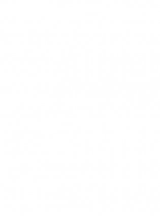 Удача не плачет фото книги 7