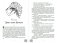 Зови меня Волком фото книги маленькое 4
