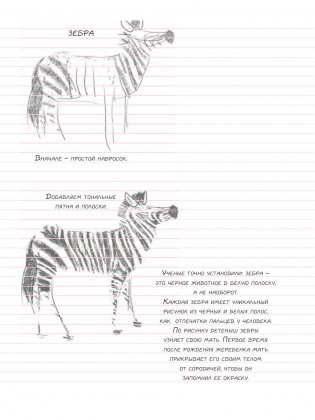 Животные. Sketchbook фото книги 9
