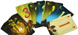 Грибные места. Соберите ценное лукошко фото книги 4