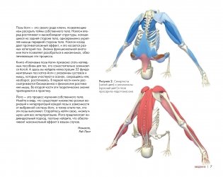 Ключевые позы йоги фото книги 6