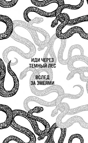 Вслед за змеями фото книги 3