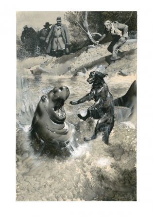 Таинственный остров фото книги 2