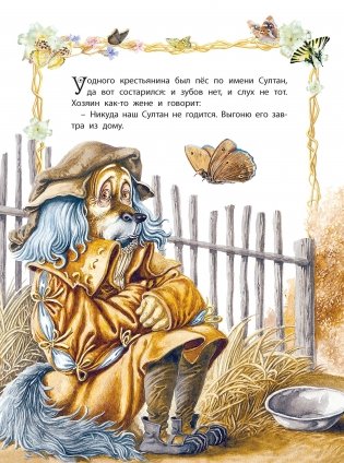Старый султан фото книги 2