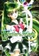 Прекрасный воин Сейлор Мун. Т. 9 фото книги маленькое 2