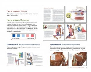 Ключевые позы йоги. Руководство по функциональной анатомии йоги фото книги 8