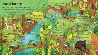 Look Inside. The Jungle. Board book фото книги 4