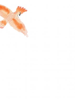 Остров мечты. Секрет стражей леса фото книги 2