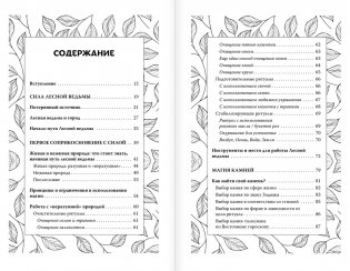 Секреты зеленой ведьмы. Фамильяры, магия стихий, растений и камней фото книги 2