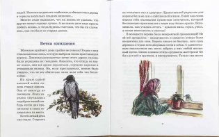 Старый дом. Рассказы для детей фото книги 2