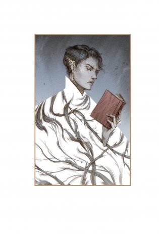 Как король Эльфхейма научился ненавидеть истории фото книги 2