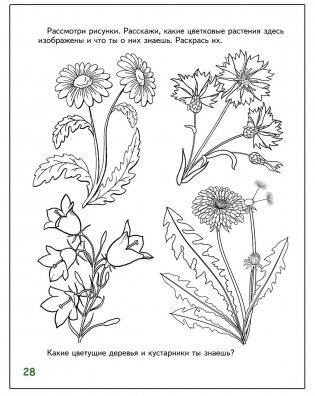 Знакомлюсь с растениями. Развивающая тетрадь для детей 6-7 лет. 1-е полугодие фото книги 7