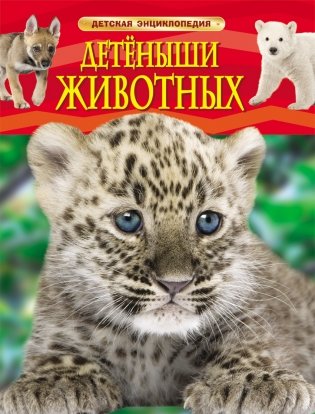 Детёныши животных фото книги