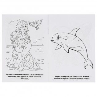 Обитатели морей фото книги 3