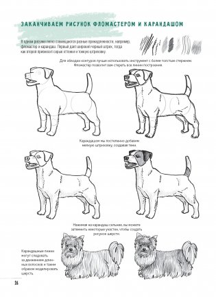 Создаем наброски животных и птиц шаг за шагом. Скетчбук начинающего художника (зеленый, зебра) фото книги 8
