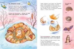 Кто такая орешниковая соня? Познавательные истории фото книги 2