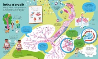 Big Book of The Body фото книги 3