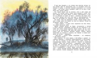 Корзина с еловыми шишками фото книги 6