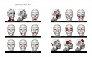 Гимнастика для лица. Натуральный подход к сохранению красоты, молодости и здоровья кожи фото книги 3