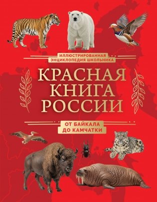 Красная книга России. От Байкала до Камчатки. Иллюстрированная энциклопедия школьника (48 стр.) фото книги