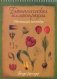 Ботаническая иллюстрация. Обучающий скетчбук фото книги маленькое 2