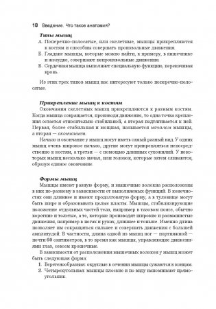 Анатомия тела в движении фото книги 7