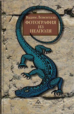 Фотография из Неаполя: повесть, рассказы фото книги