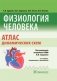 Физиология человека. Атлас динамических схем фото книги маленькое 2