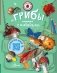 Грибы фото книги маленькое 2