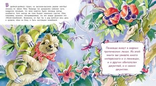 Неленивый ленивец и его соседи фото книги 2