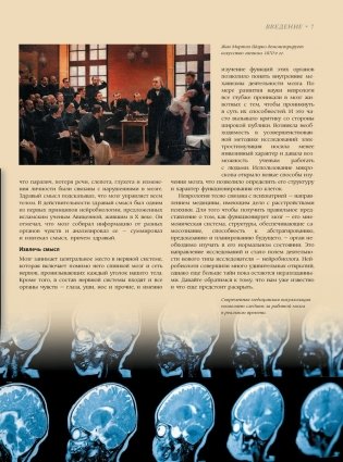 Мозг. История, теории и практики фото книги 3