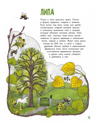 Деревья фото книги 3