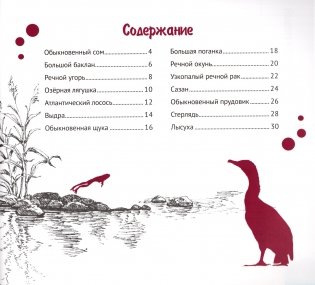 Реки и озёра Беларуси фото книги 4